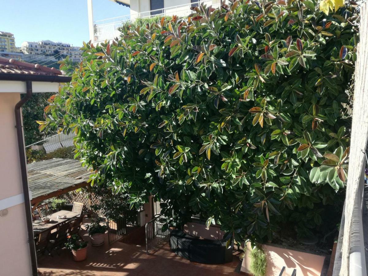 Villa Bruna B&B ซานเรโม ภายนอก รูปภาพ
